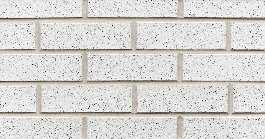 White with Speck Glazed Thin Brick